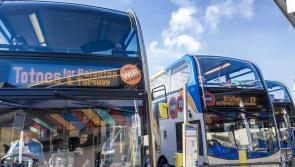 Torbay Council agrees subsidies to support local bus services
