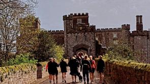 Torbay Triathletes reign supreme at Powderham Castle 