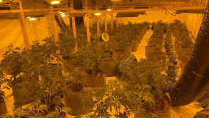 Over &pound;1 million of drugs seized in Devon crime crackdown