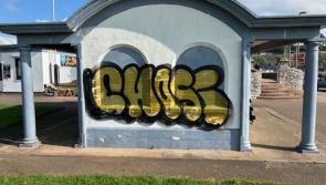 Police appeal after graffiti tag spotted across Torbay