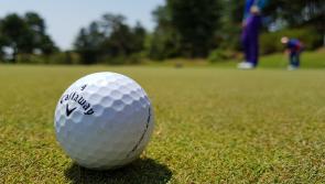 Preston Rotary Club plans charity golf event 