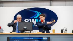 Paul Jolly: Lots to enjoy in the sale