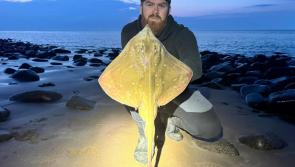 The joy of sea angling in the sun