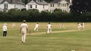 The South Devon story from the 2024 cricket season