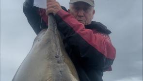 Unique stingray catch in South Devon waters