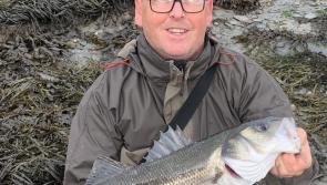 The lure of angling is difficult to resist