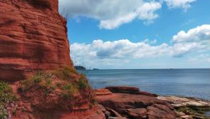 Stunning new exhibition is inspired by South Devon's coastline