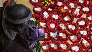 South Devon Poppies to Paddington tribute for war heroes