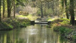 Country park makes a splash with major improvements unveiled