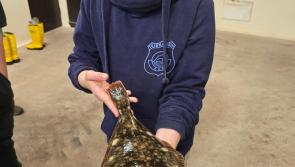 Fab Flounder Festival on the River Teign