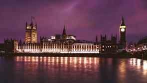 Sally Allen: Fighting for the right to disagree