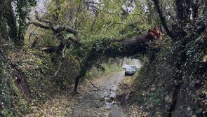 Parliament thanks Storm Bert clean-up crews