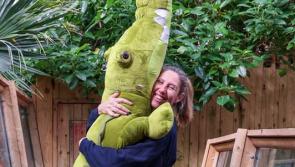 Paignton Zoo to reopen Crocodile Swamp