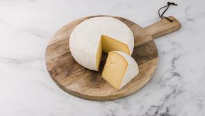 Totnes boasts new champion cheese
