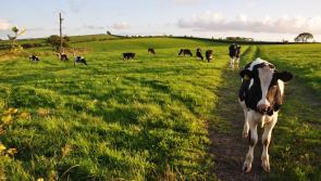 Devon MPs urge crackdown on 'tax dodge' farmers