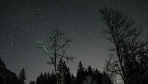 Stargazing: Lucy in the sky with asteroids...