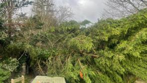 Send us your pictures of Storm Darragh's aftermath