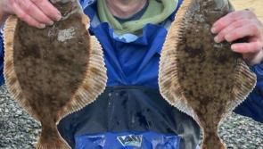 Angling is all about timing