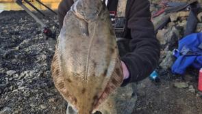 Happy Christmas from South Devon anglers