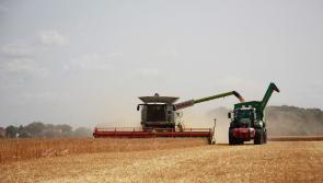 James McInnes: Rural life under fire from the uninformed