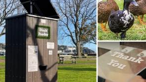 What a 'quacking' idea for Torbay's duck lovers for 2025