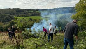 Home builders’ staff volunteer to build hope for barn owls