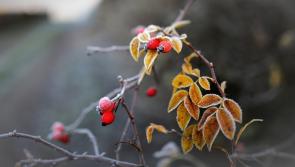 UK braces for health risks amid severe weather warnings