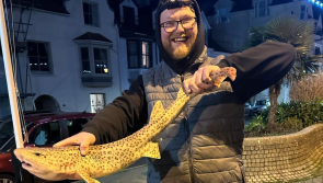 Local anglers embark on the annual species hunt