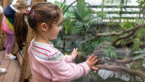Record crowds celebrate Torbay zoo reopening