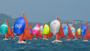 Squib games heading back to the Bay