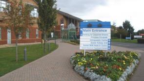 Devon and Torbay unite for better sexual health