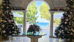 Sally Allen: Barbados' success vs Torbay's planning failures