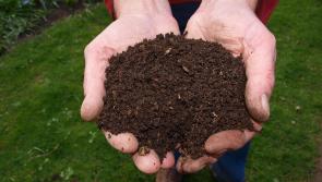'Spring' your garden into action with organic matter