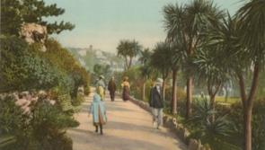 Kevin Dixon: How Victorian plant nurseries shaped the Riviera