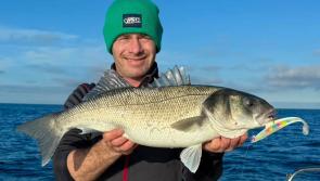 Worst week ever for South Devon anglers