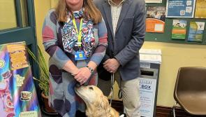 Bay MP Steve and guide dog Jennie pop in for Torquay library visit