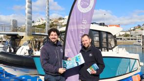 Businesses urged to become Seagrass Champions to protect Torbay’s marine habitats