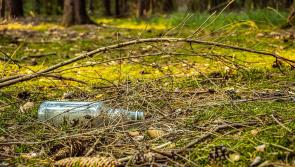 Community Matters: Paignton's spirit shines in clean-up efforts