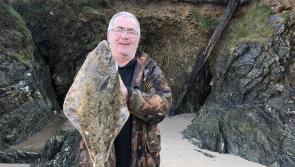 Salcombe Halibut catch is a global hit