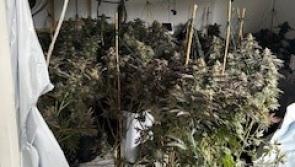 Dozens of arrests  and weapons seized in massive Devon police drugs blitz