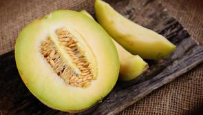 Gardening with Pat Duke: Why you should plant this fruit now