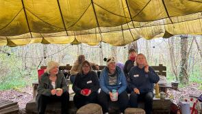 South Devon MP goes to war over veterans