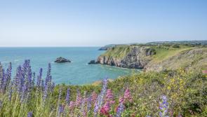 Torbay crowned most Instagrammable bay in Britain