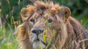 Torbay MP’s zoo invitation for the Prime Minister