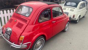 Paul Jolly: Would you electrify these cute little babies?