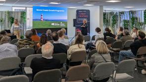 Free support returns for creative businesses in Torbay and Devon