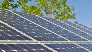 Torbay solar farm decision makers told to think again