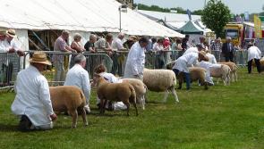 Peter Vosper: Business on show to visitors at Devon and Cornwall shows