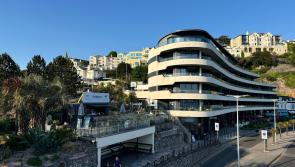  Here’s what’s got Torbay talking this week