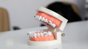 Torbay MPs slam dental crisis and demand action